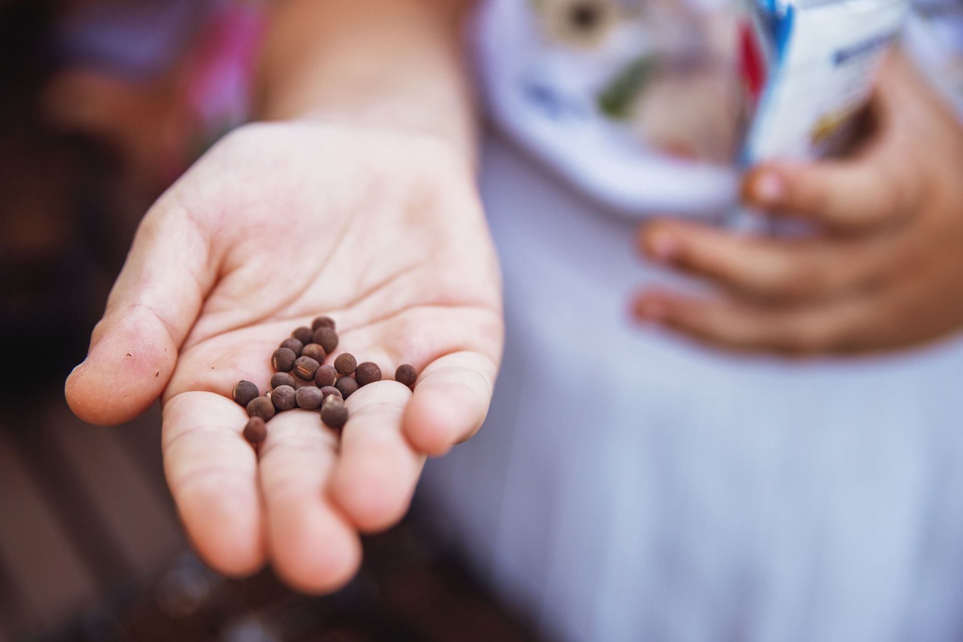 Person holding seeds in palm of hand