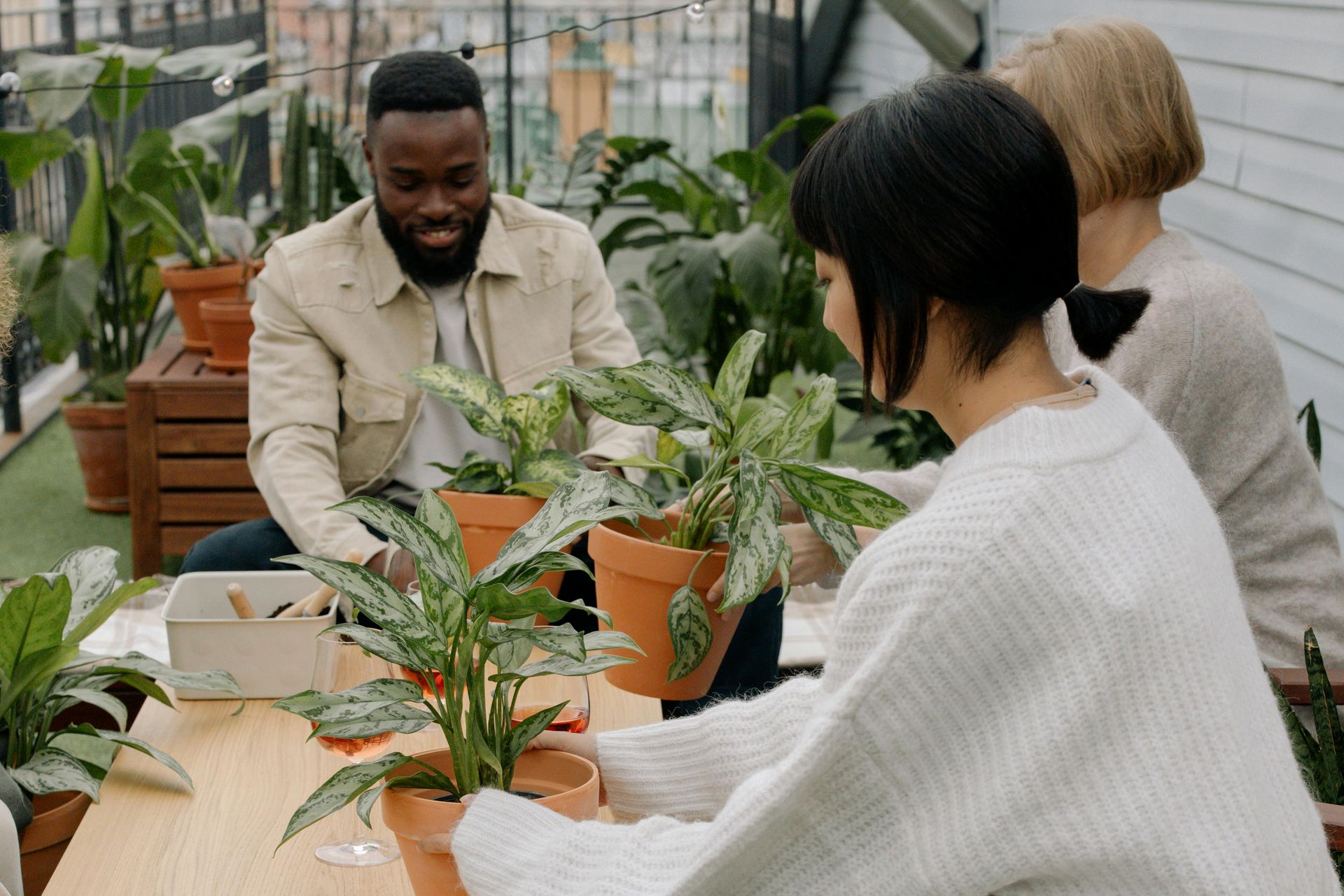 Three people sitting at a table on a rooftop garden, potting and arranging leafy houseplants in terracotta pots surrounded by greenery.