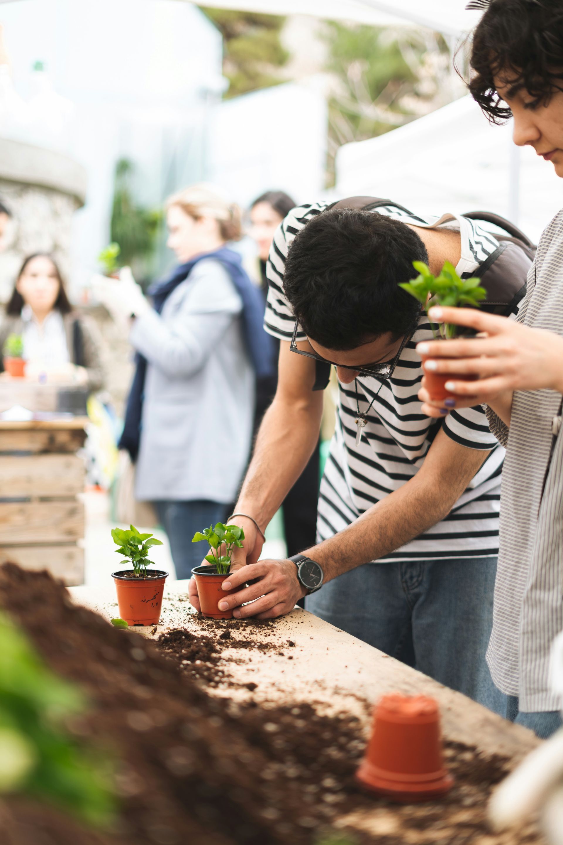 Maudes Garden and People