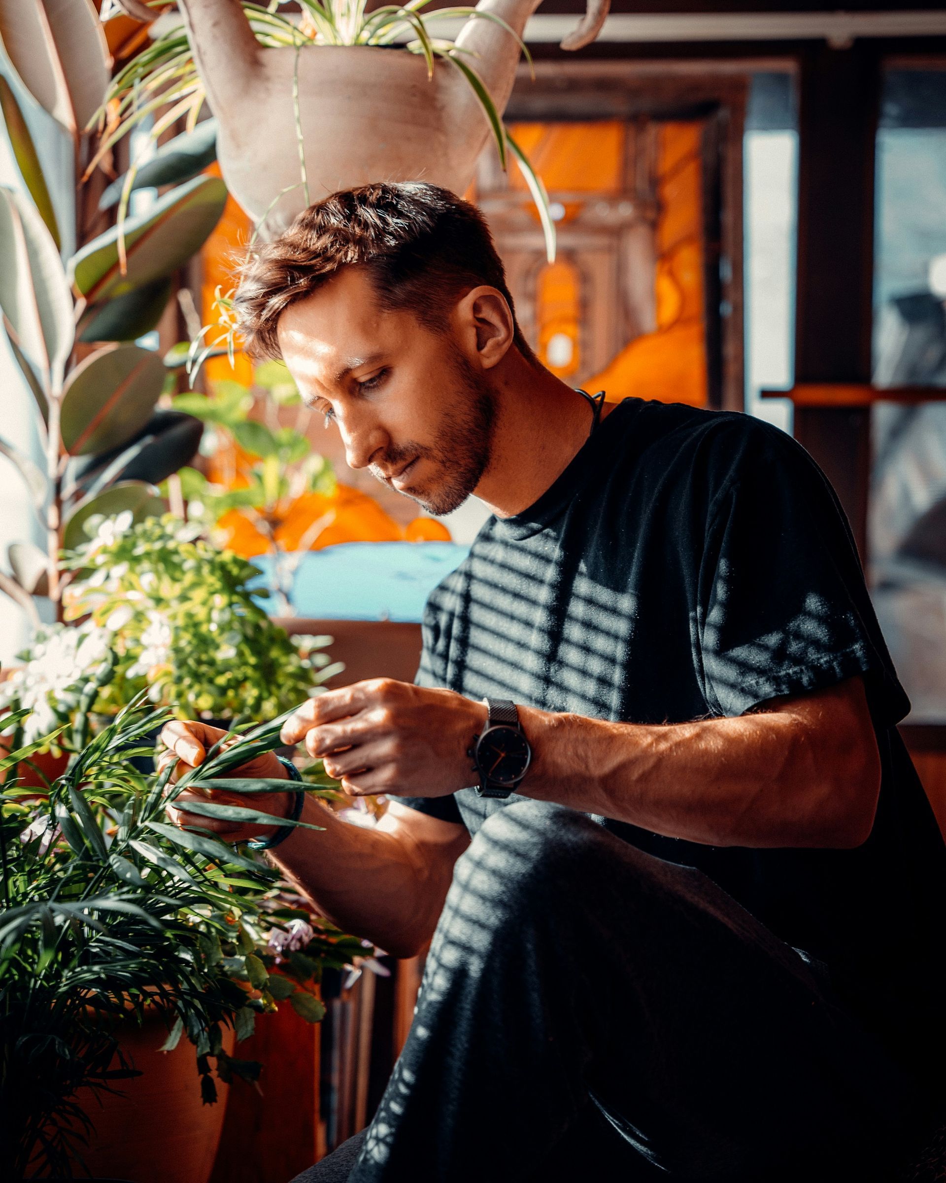 man clipping plants