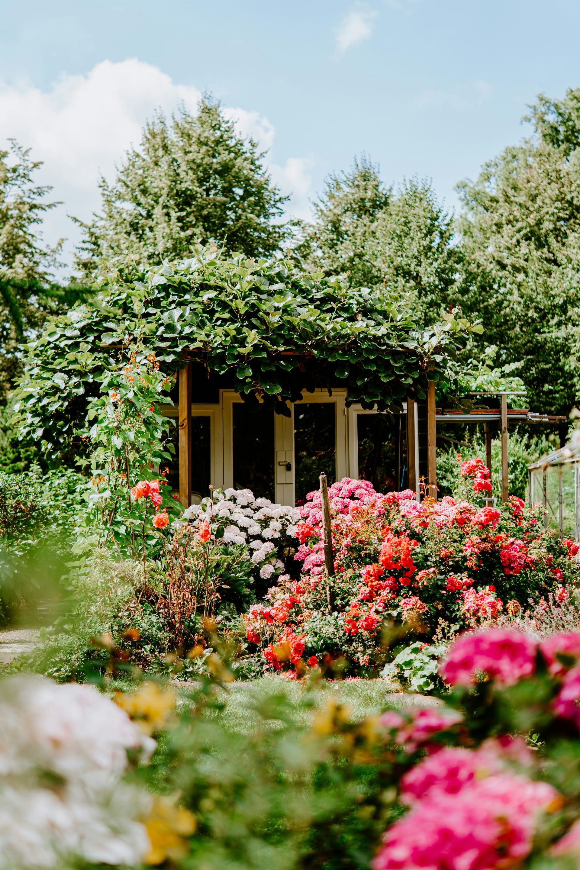 therapeutic garden