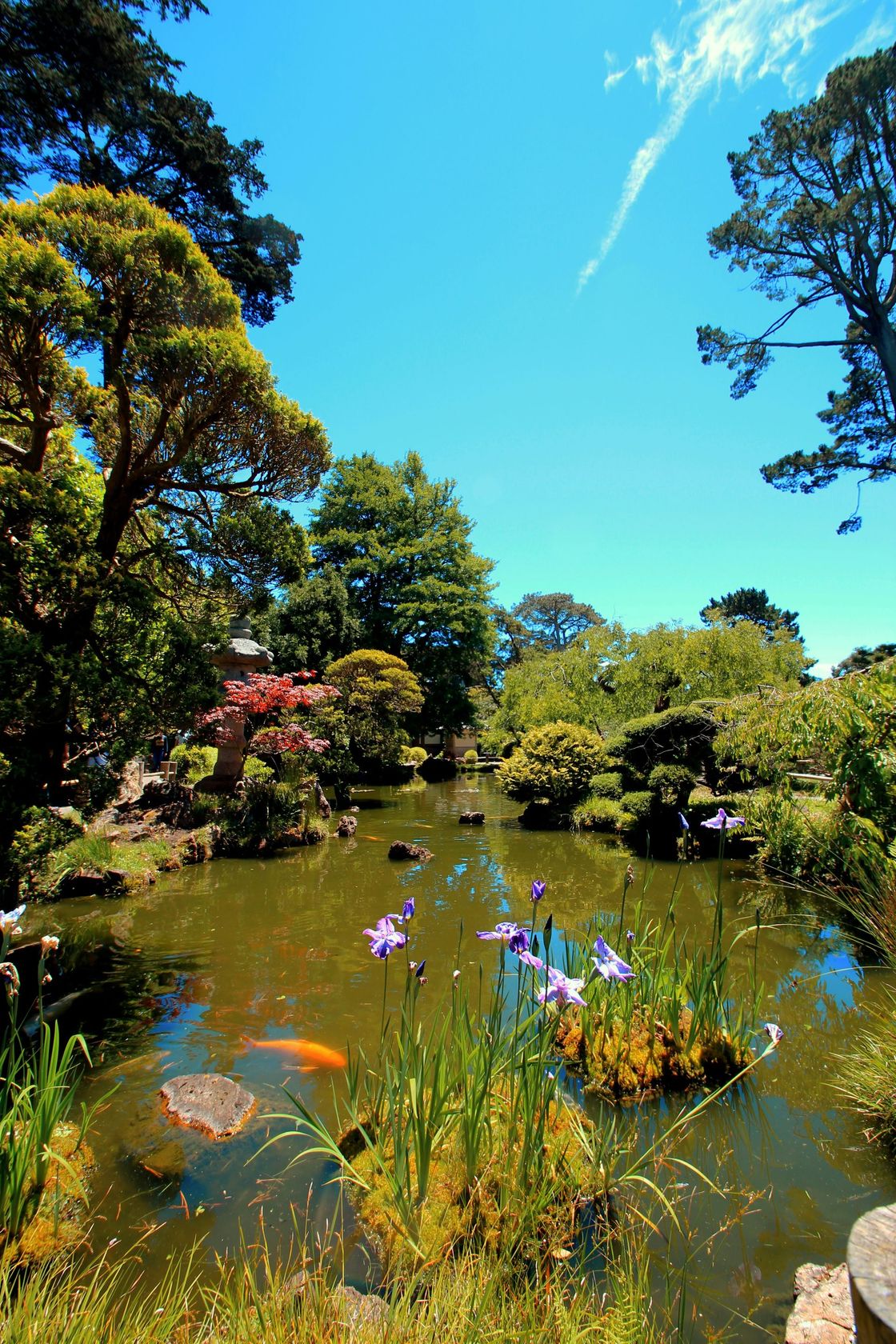San Francisco Botanical Garden