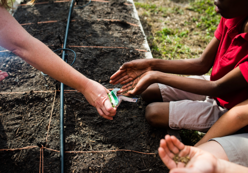 Youth planting seeds co op