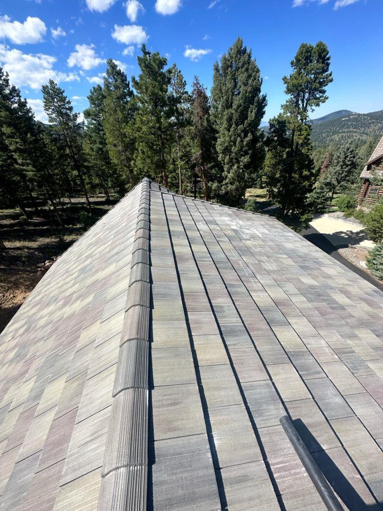 Asphalt shingle roof with varied colors, near trees on a sunny day.