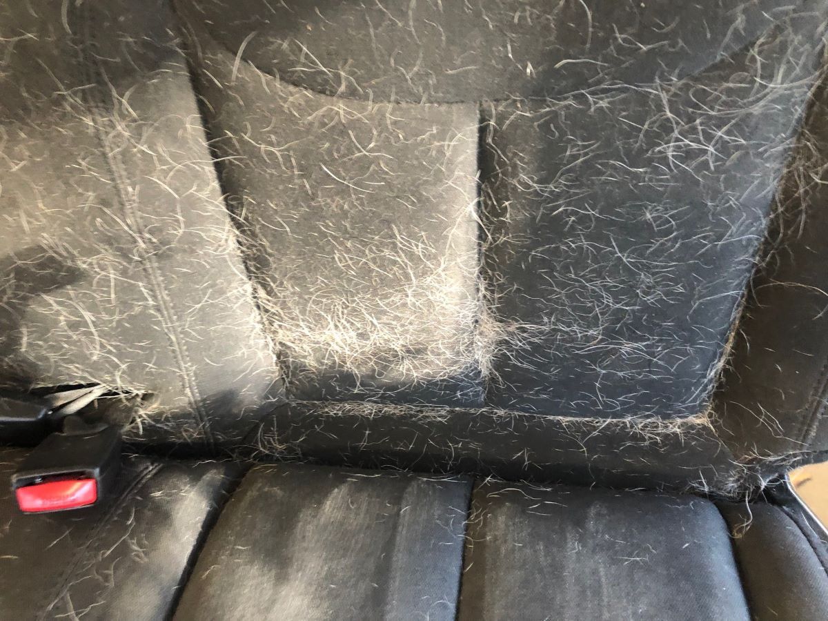 A car seat with a lot of hair on it.