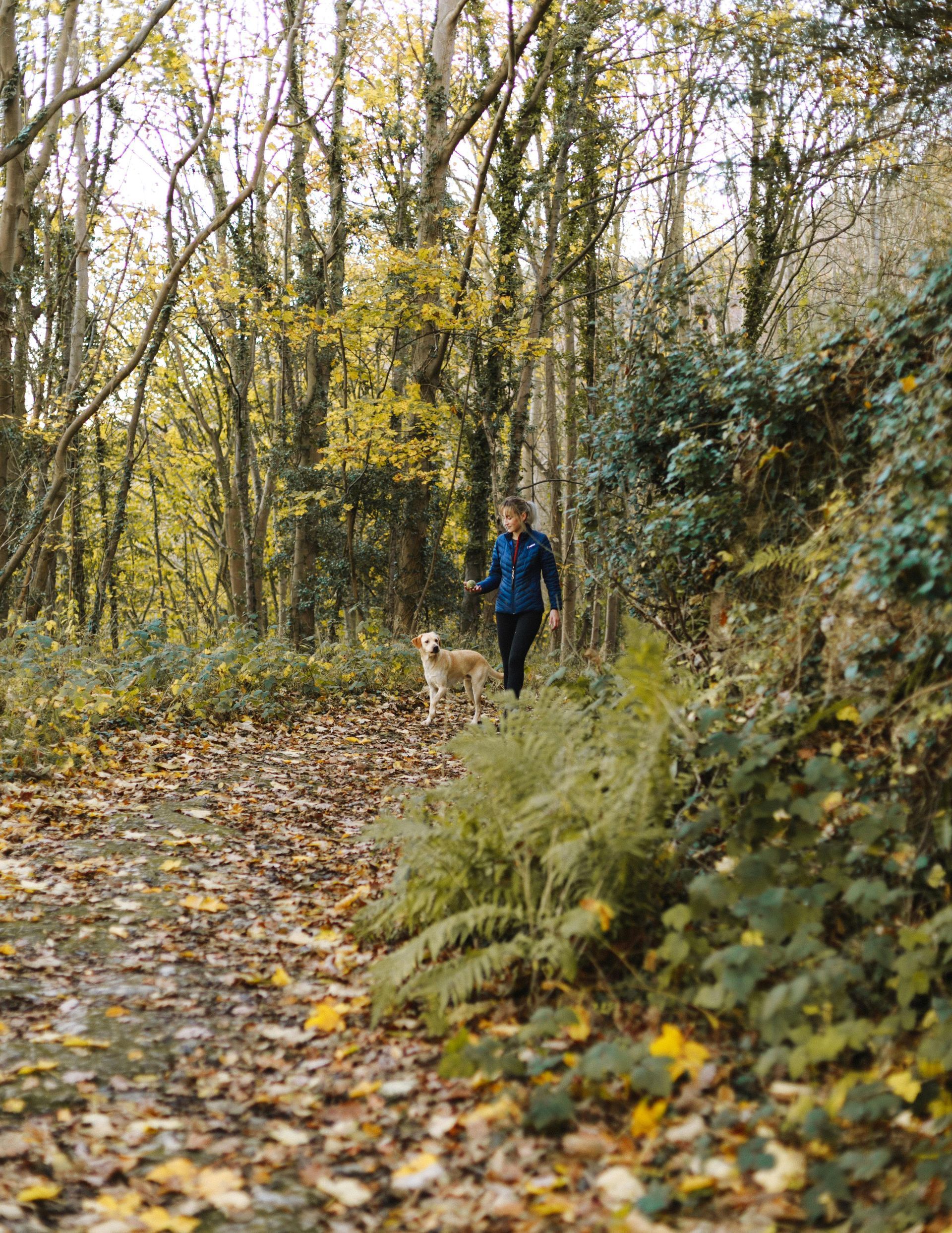 A person walking a light-colored dog on a path covered in fallen autumn leaves through a wooded area.
