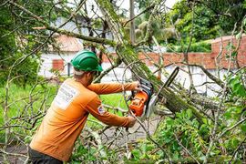 A worker in a green hard hat and orange shirt uses a chainsaw to cut a fallen tree branch.