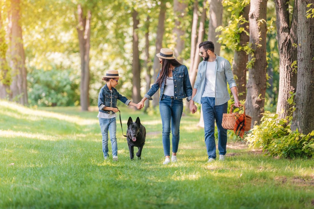 A family is walking their dog in a park.