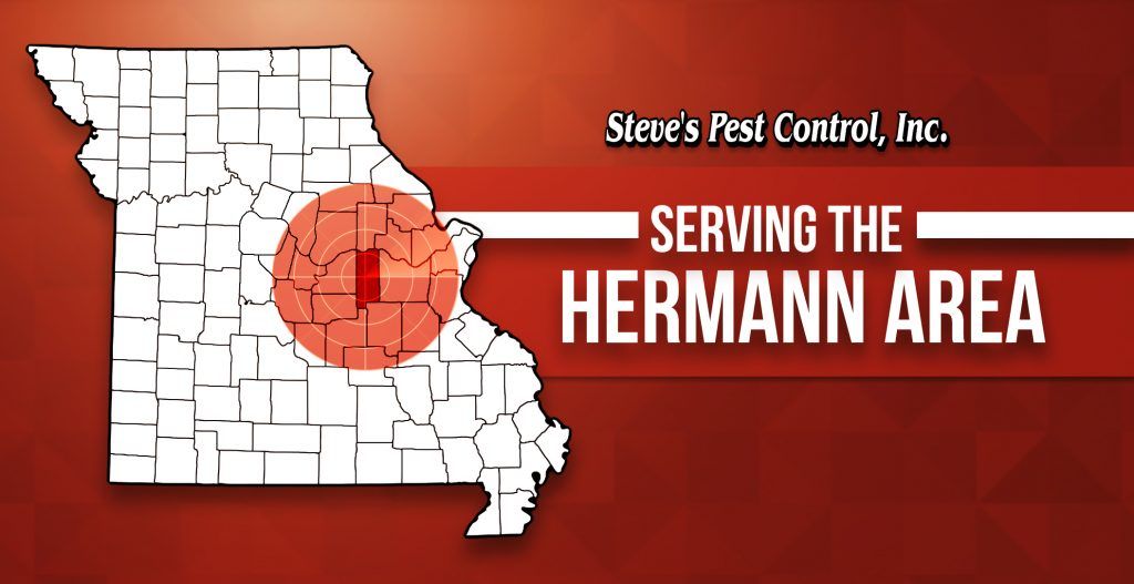 Steve's Pest Control Serves the Hermann, MO Area