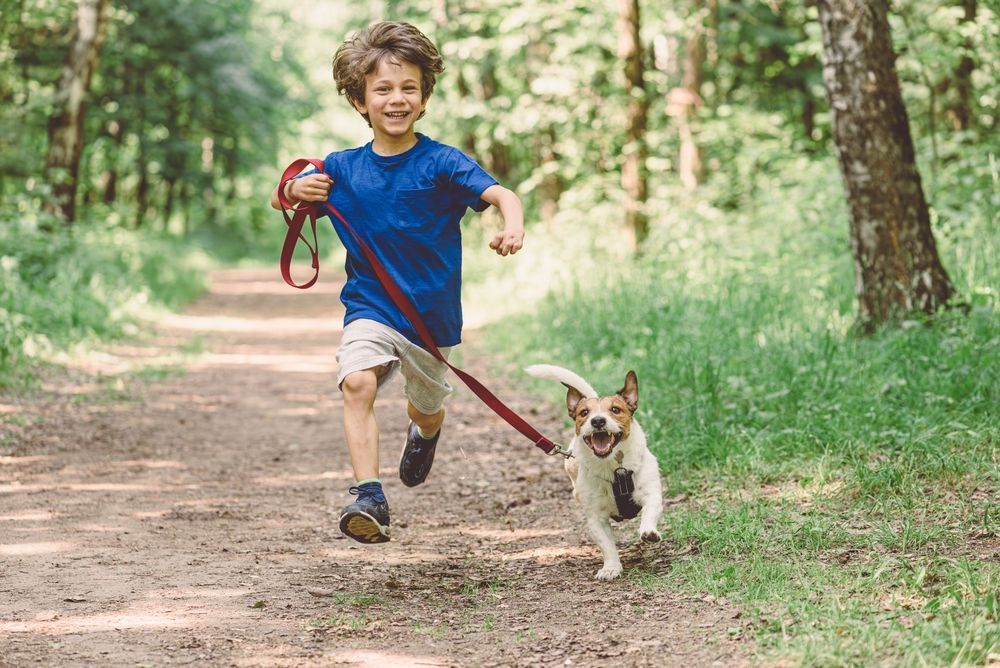 happy boy and his dog running down a trail in the woods