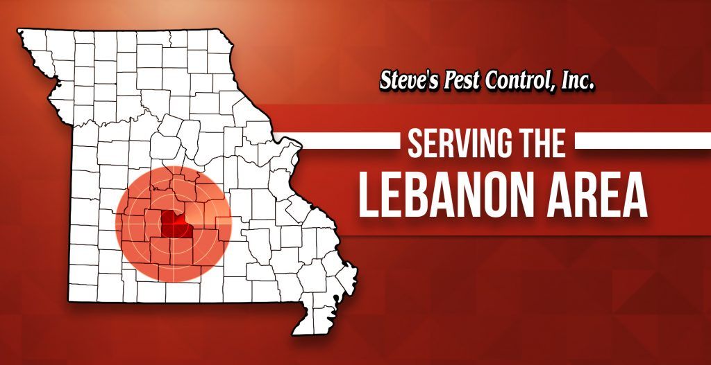 Steve's Pest Control Serves the Lebanon, MO Area