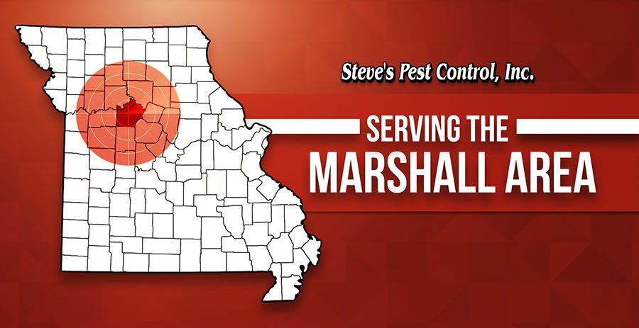 Steve's Pest Control Serves the Marshall, MO Area