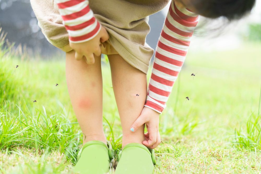 Little girl scratching mosquito bites on her legs while mosquitos swarm around her outdoors