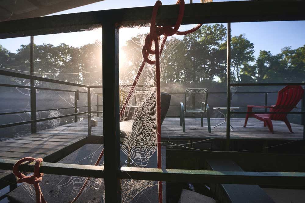 Spider web on dock at Lake Ozark, Steve's Pest Control