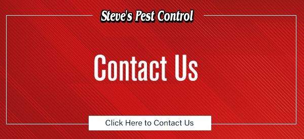Contact Steve's Pest Control for More Information on Your Pest Problem. 
