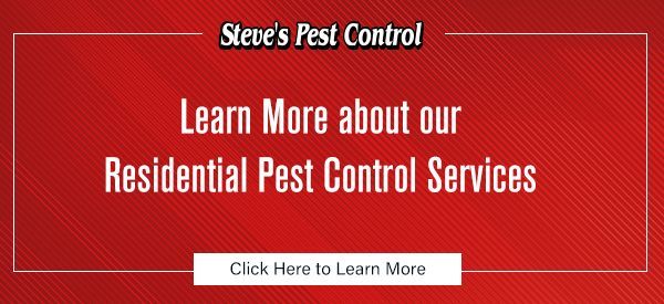 Learn More about our Residential Pest Control Services