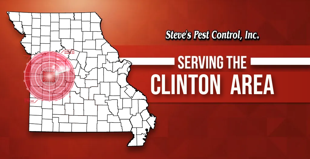 Steve's Pest Control Serves the Columbia, MO Area