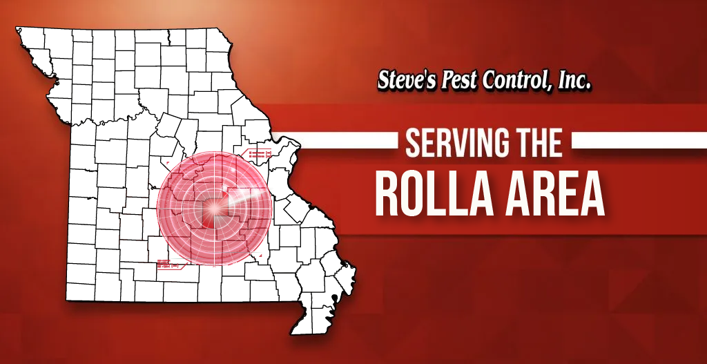 Steve's Pest Control Serves the Sedalia, MO Area