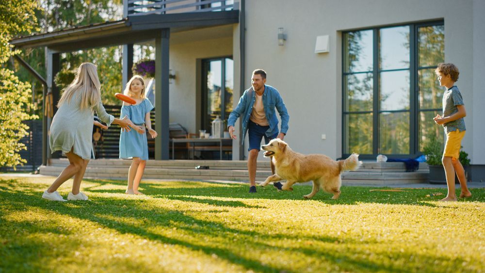 Family playing outside without fear of pests, Steve's Pest Control