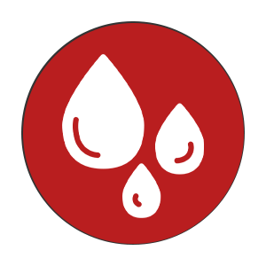 Steve's Pest Control | Steve's Lake Services