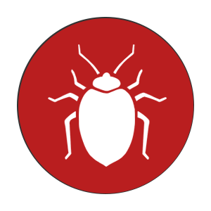 Steve's Pest Control | Bed Bug Pest Control