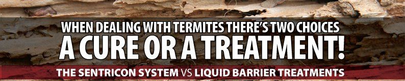 Find the Solution to Termites in Mid-Missouri With Steve's Pest Control's Sentricon System