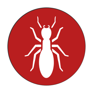 Steve's Pest Control | Termite Pest Control