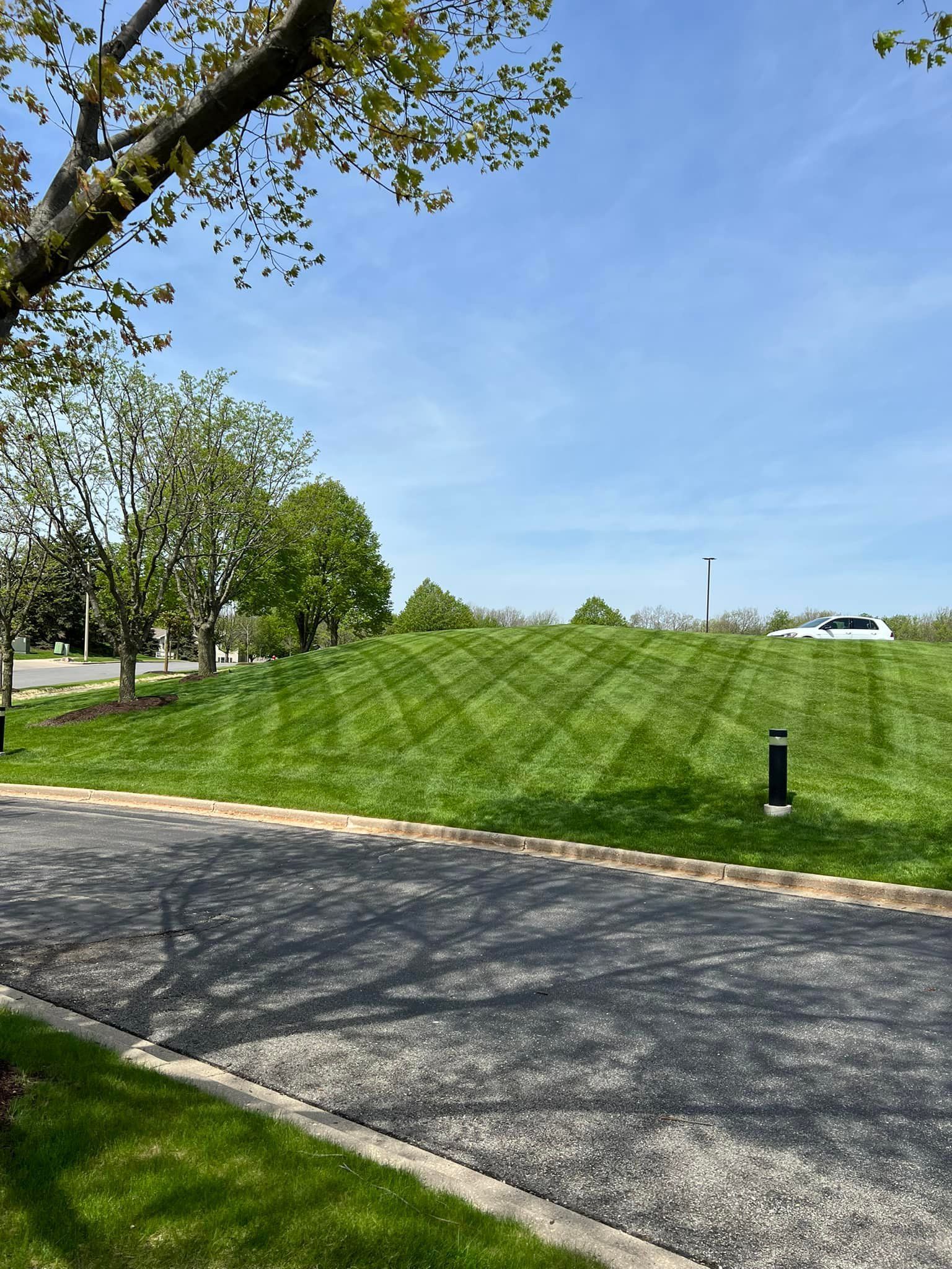 A driveway leading to a lush green field with a blue sky in the background.