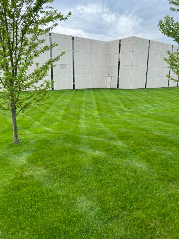 A large white building is behind a lush green lawn.