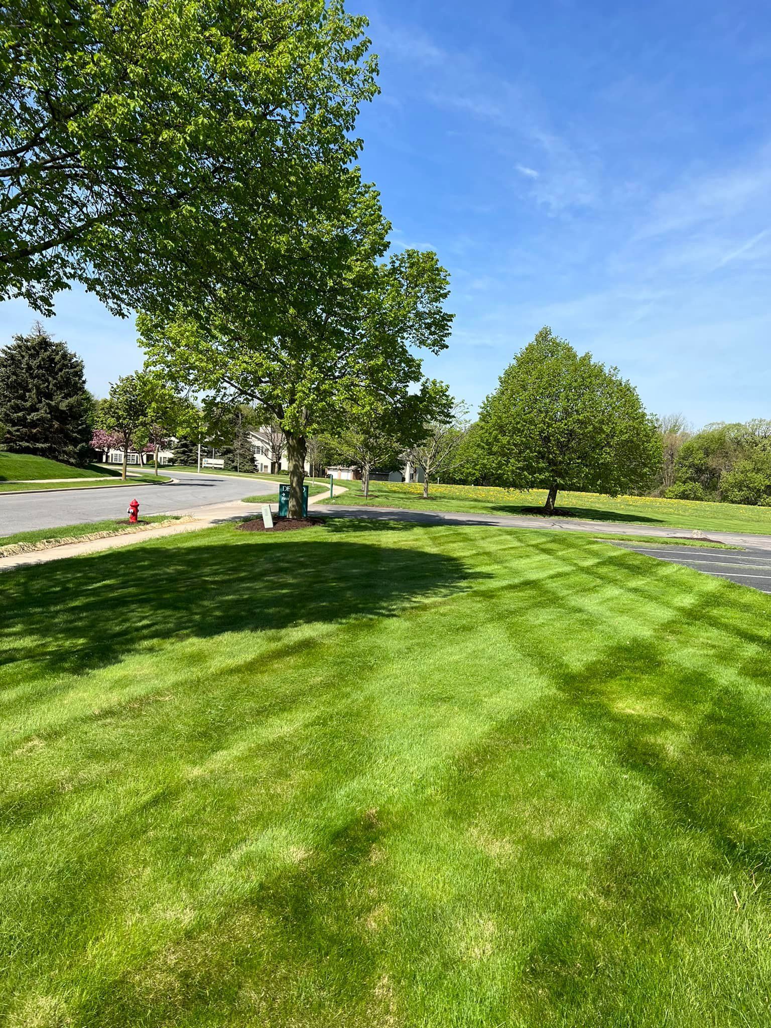 A lush green lawn with trees in the background and a fire hydrant in the foreground.