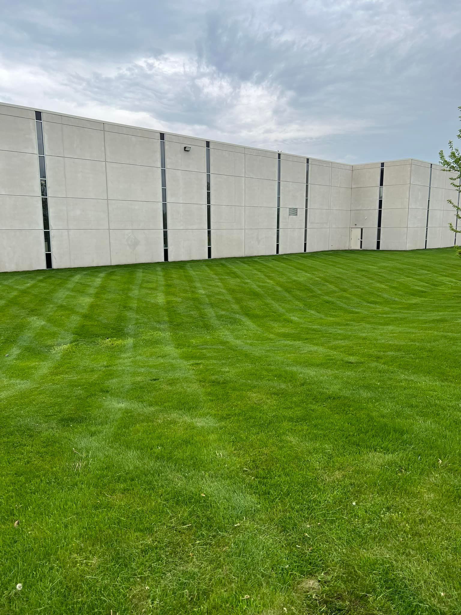 A large concrete wall is behind a lush green lawn.