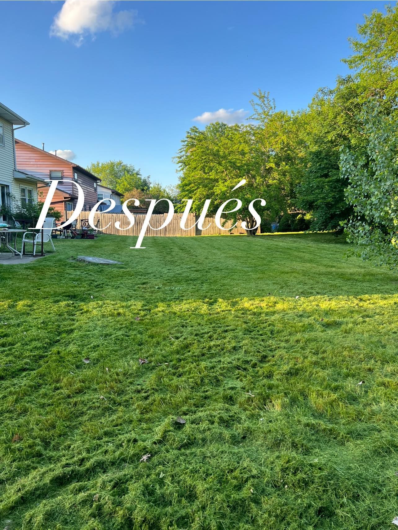A picture of a lush green lawn before and after being mowed.