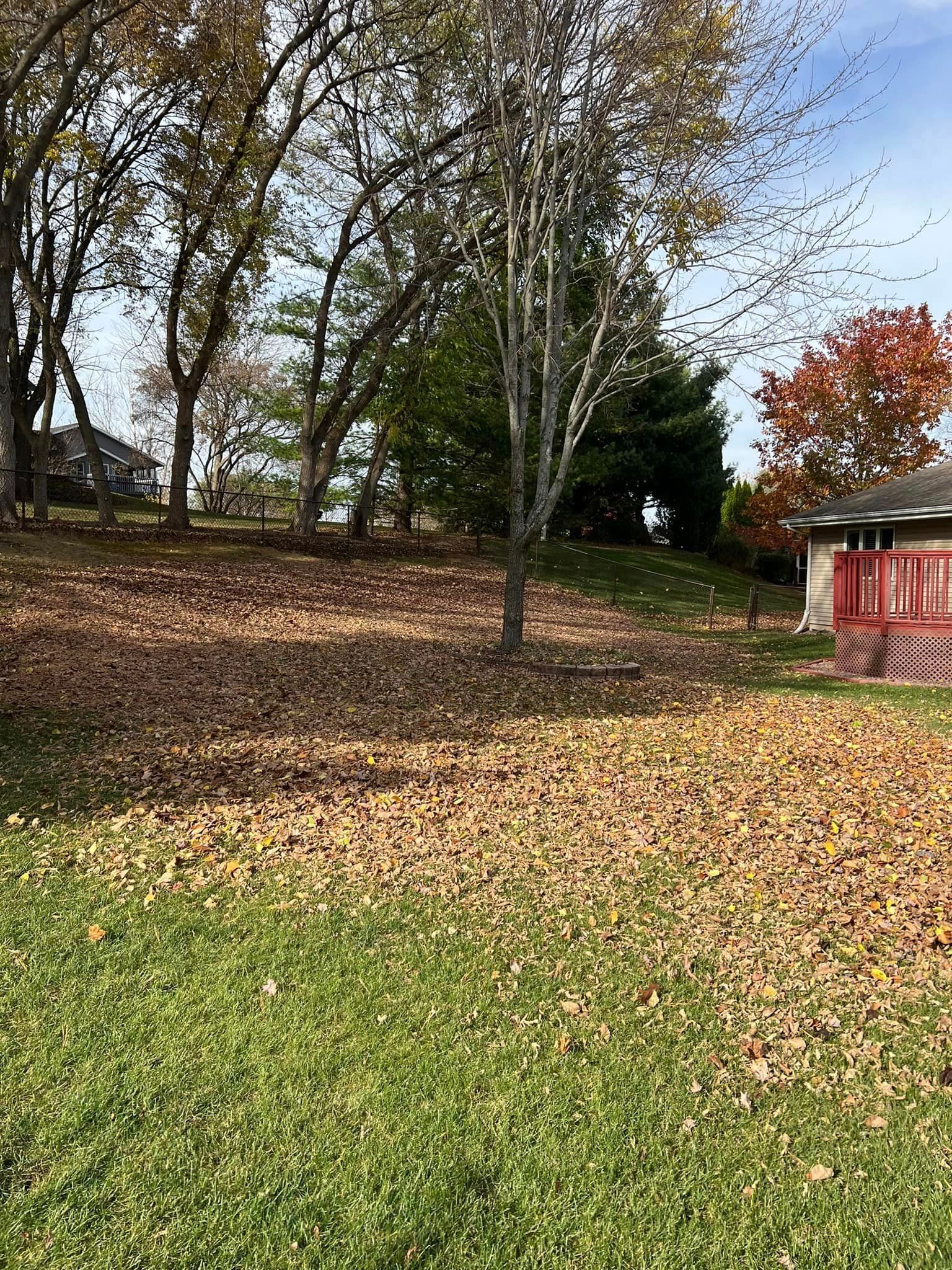 There is a house in the background and a lot of leaves on the ground.