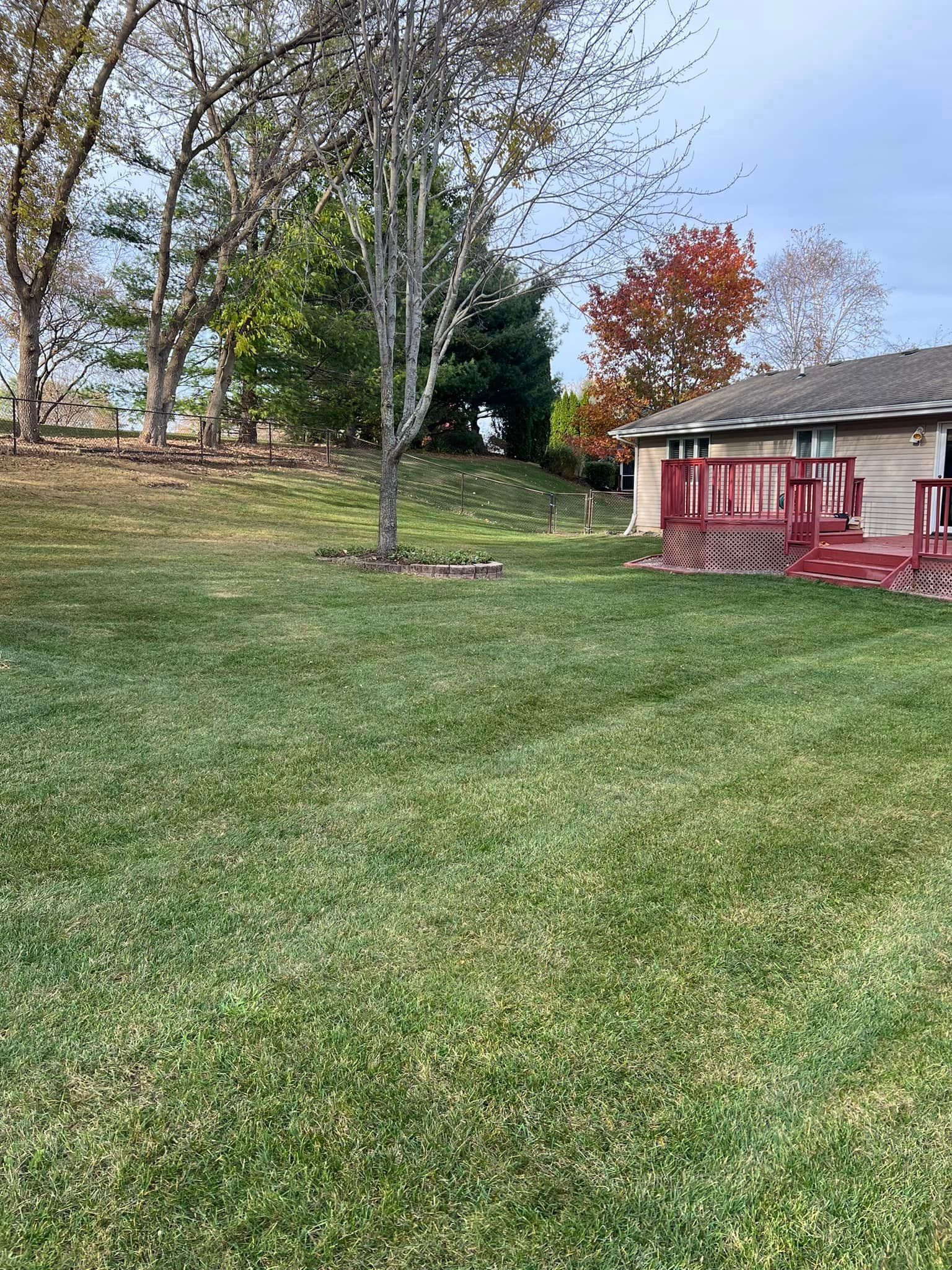 A lush green lawn in front of a house with a red deck.