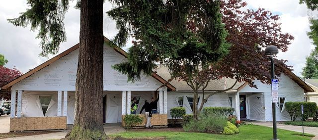 A white house with a large tree in front of it