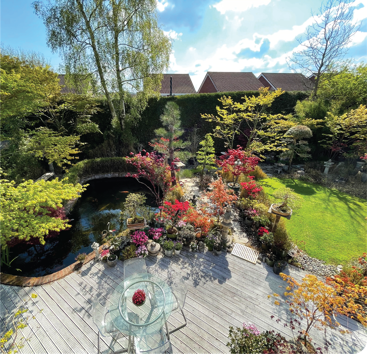 A garden with a table and chairs and a pond