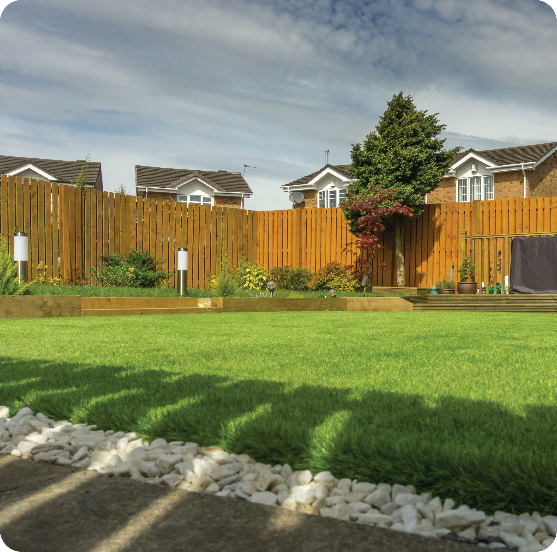 A lush green lawn with a wooden fence in the background