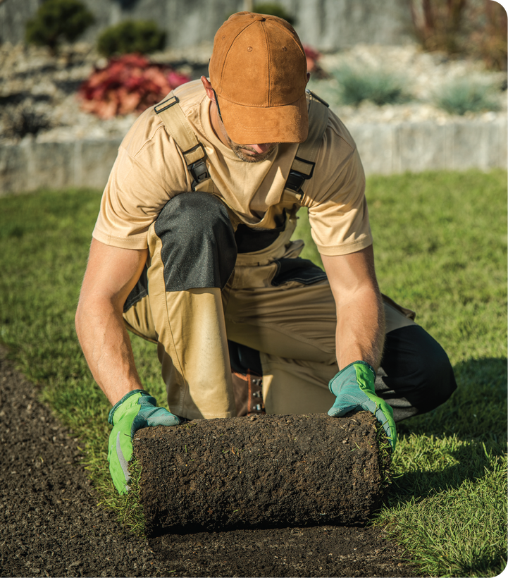 A man is kneeling down and rolling a roll of grass.