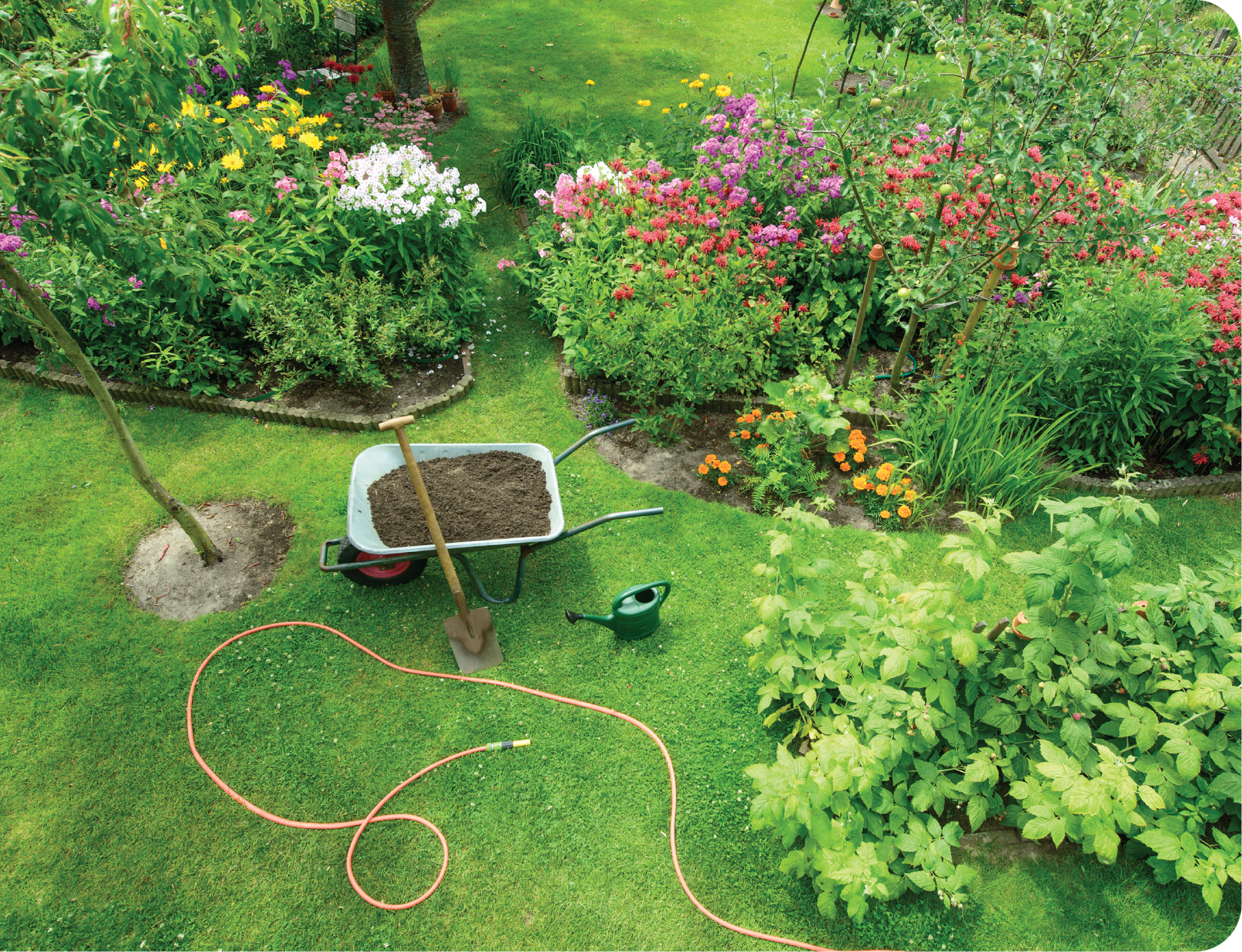 A wheelbarrow filled with dirt and a shovel in a garden.