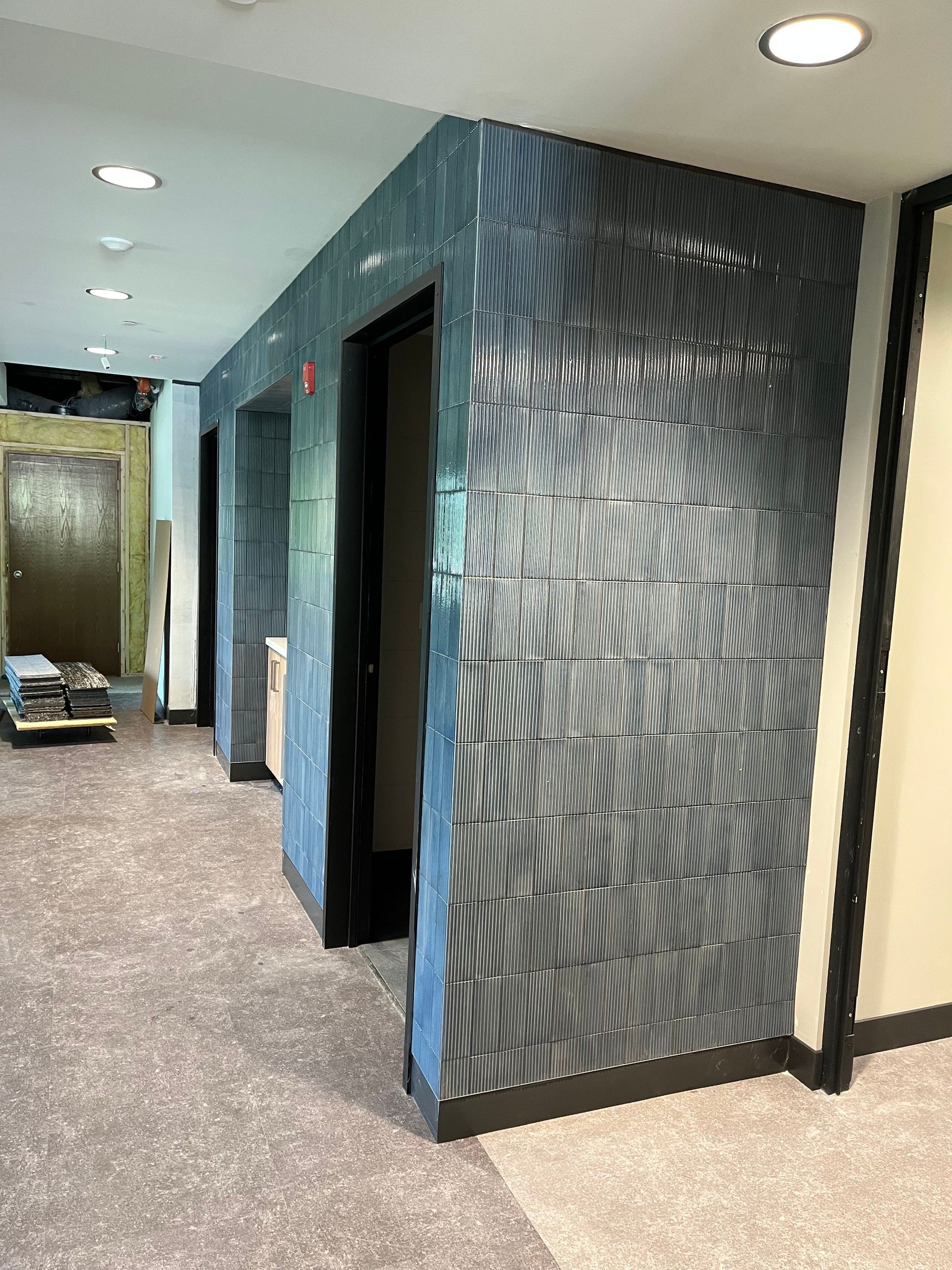 Hallway with textured blue walls flanking elevator doors; tan carpet, recessed lighting.