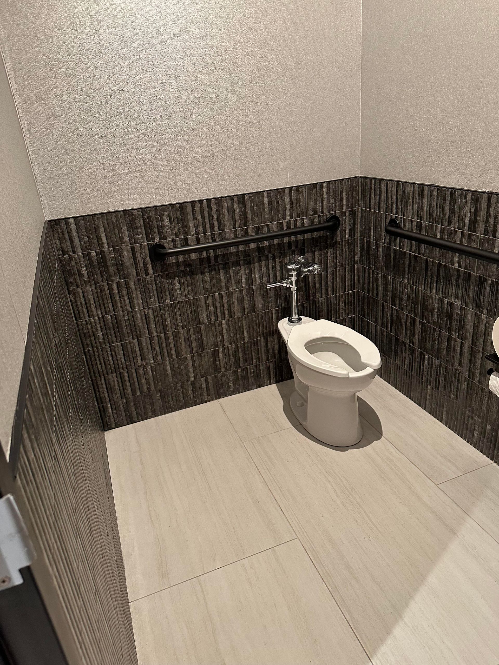 ADA-compliant restroom stall with a toilet and grab bars; textured dark brown and sparkly gray walls.