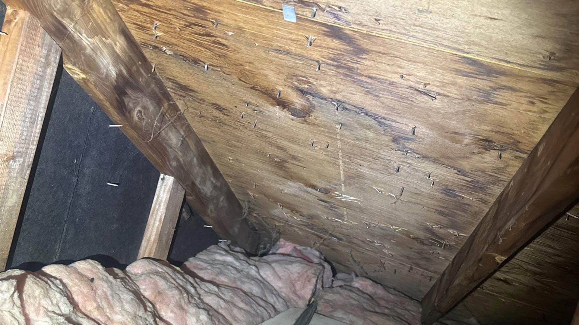 Attic roof decking inspection showing fastener penetration points and wood condition beneath the roof surface during a professional roof inspection.