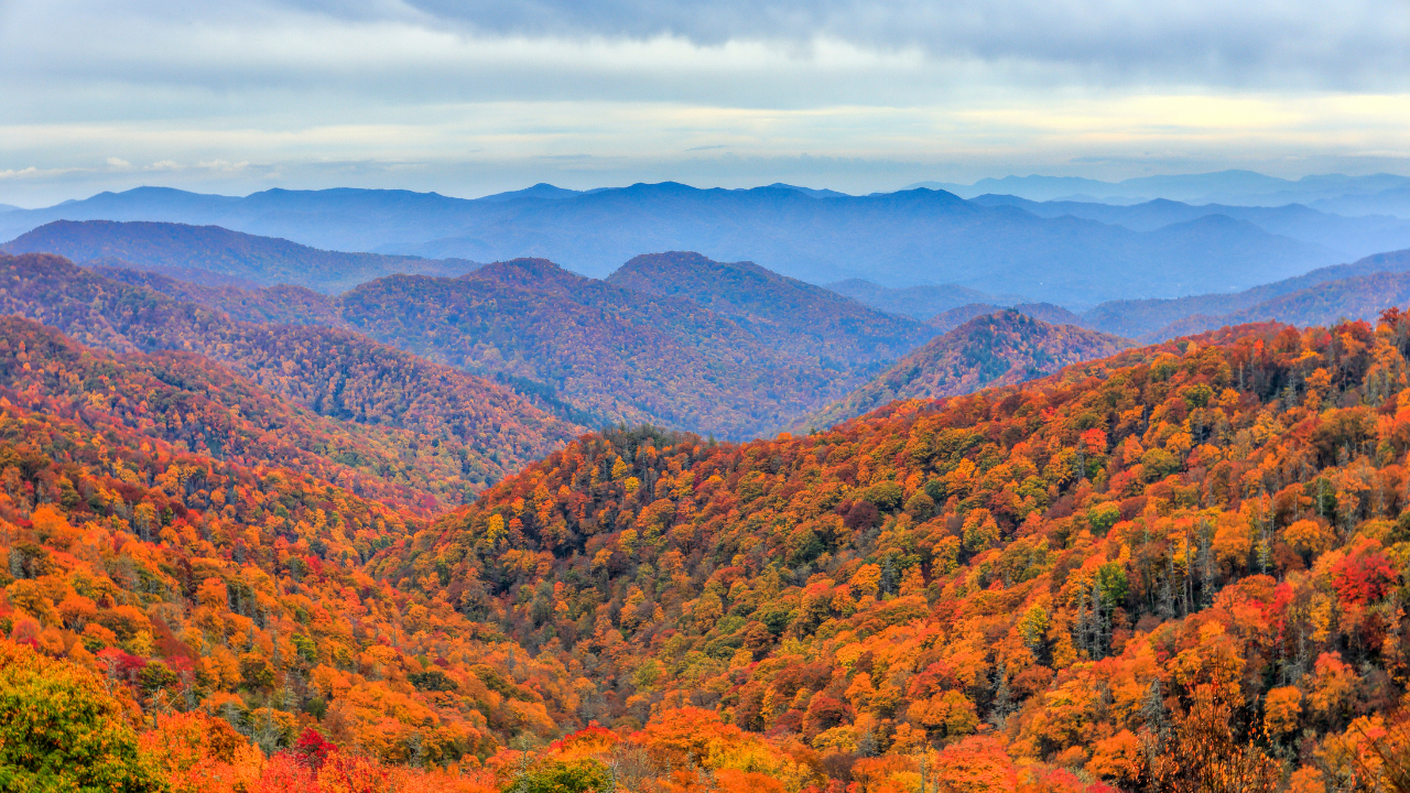 Beautiful fall colors cover the North Carolina mountains at sunrise