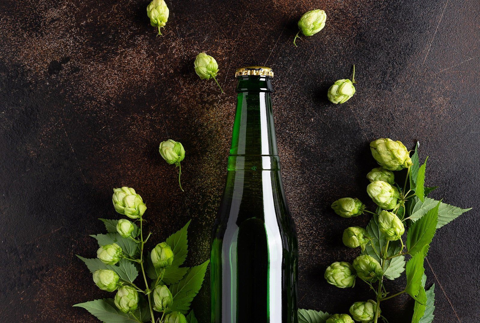 Πρώτες ύλες - Λυκίσκος