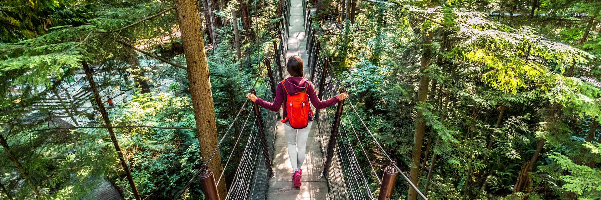 A person is walking across a suspension bridge in the woods.