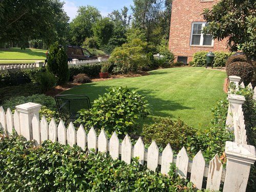 lawn care & Landscaping a yard