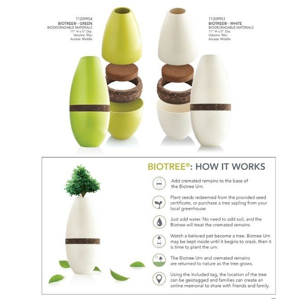 Cremation Urns | Adoring Pet Funeral Home & Cremation Services