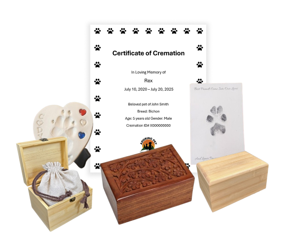 Adoring Friend Package