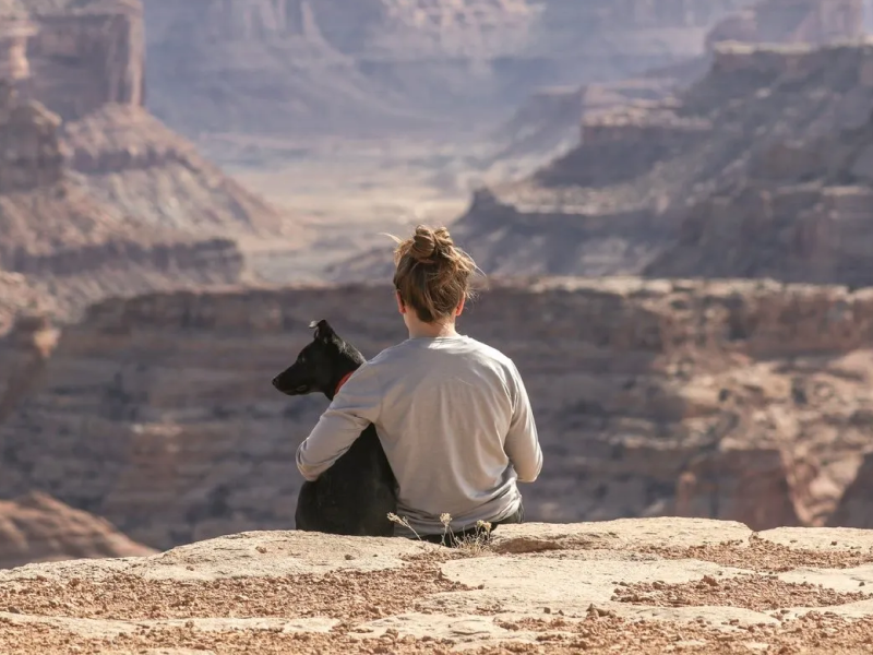 Adoring Pet Funeral Home & Cremation Services