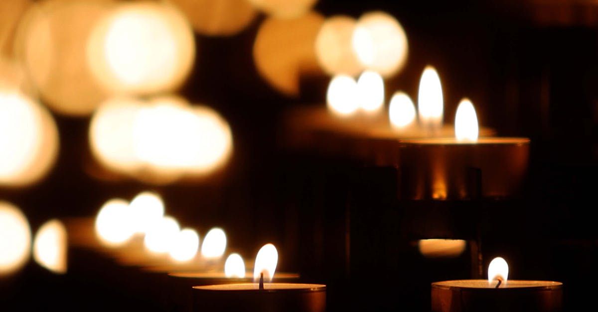 Resources Center | Adoring Pet Funeral Home & Cremation Services